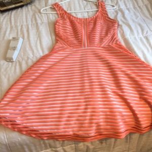 Bebe dress Xs